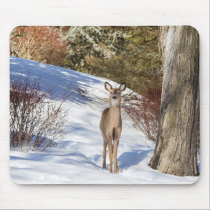 Weißschwänzchen Mousepad