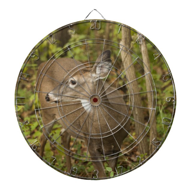 Weißschwanzhirsche Dartscheibe (vorne)