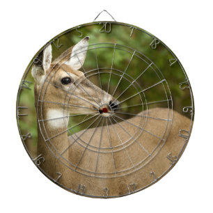 Weißschwanzhirsche Dartscheibe