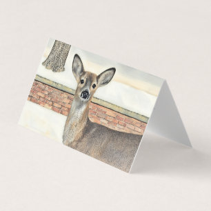 Weißschwanzhirsche im Schnee