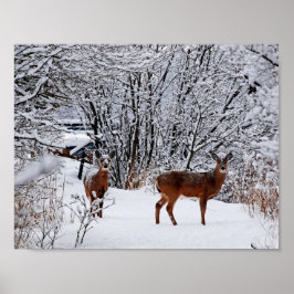 Weißschwanzhirsche im Winterschneewertposter Poster