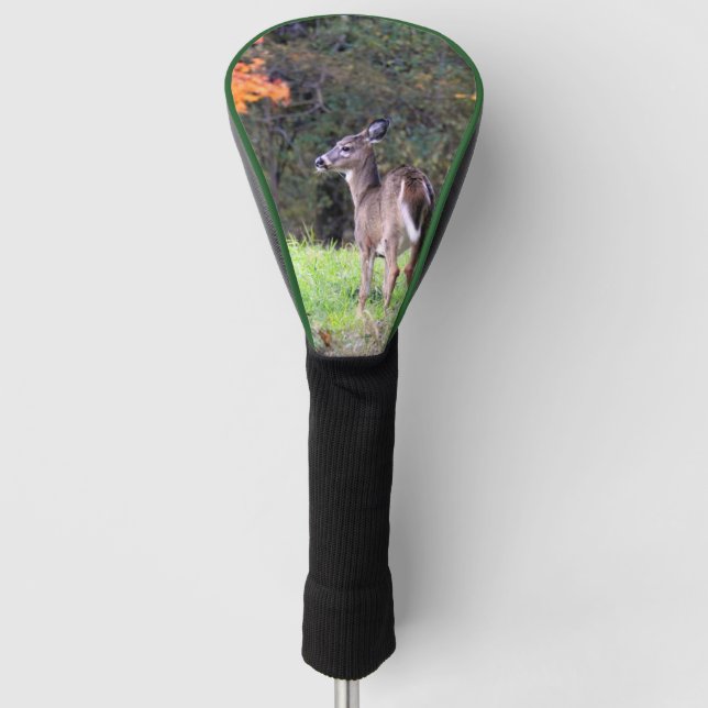 Weißschwanzhirsche Nah Golf Headcover (Vorderseite)