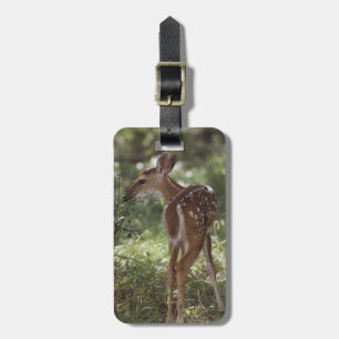 Weißschwanzhirsche, Odocoileus virginianus Gepäckanhänger