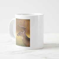 Weißschwanzhirsche, Odocoileus virginianus,