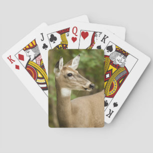 Weißschwanzhirsche Spielkarten