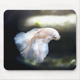Weißsiamischer Kampffisch Mousepad