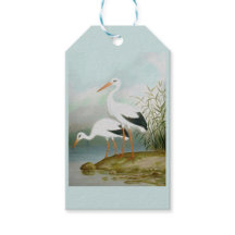 Weißstorch, Vogelbilder