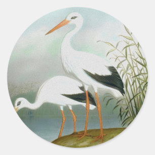 Weißstorch, Vogelbilder Runder Aufkleber