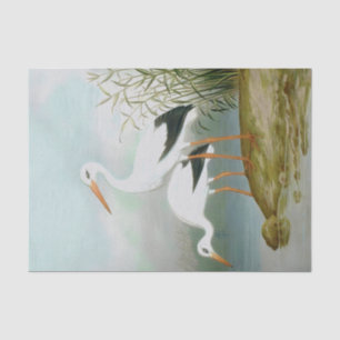 Weißstorch, Vogelbilder Seidenpapier