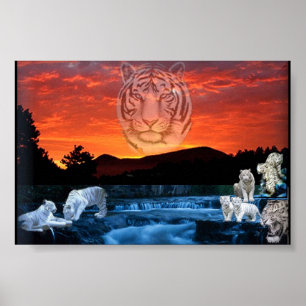 Weißtigers Poster