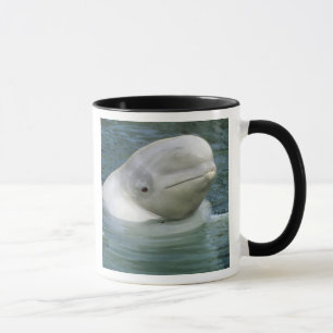 Weißwal, Delphinapterus leucas) Tasse