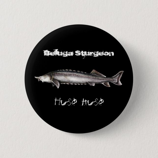 Weißwal-Stör Button (Vorderseite)