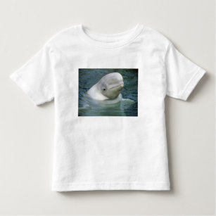 Weißwalwal, Delphinapterus leucas), Gefangener Kleinkind T-shirt