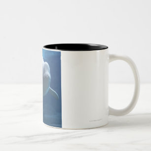 Weißwalwal (Delphinapterus leucas) Zweifarbige Tasse