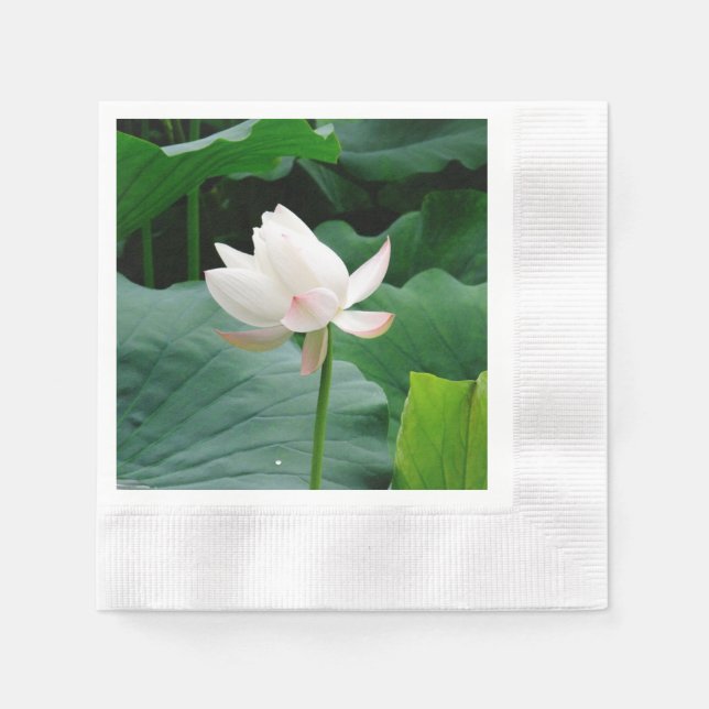 Weißwasserlilie Serviette (Vorderseite)