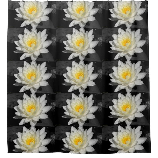 Weißwasserlily-Fotografie Duschvorhang (Vorderseite)