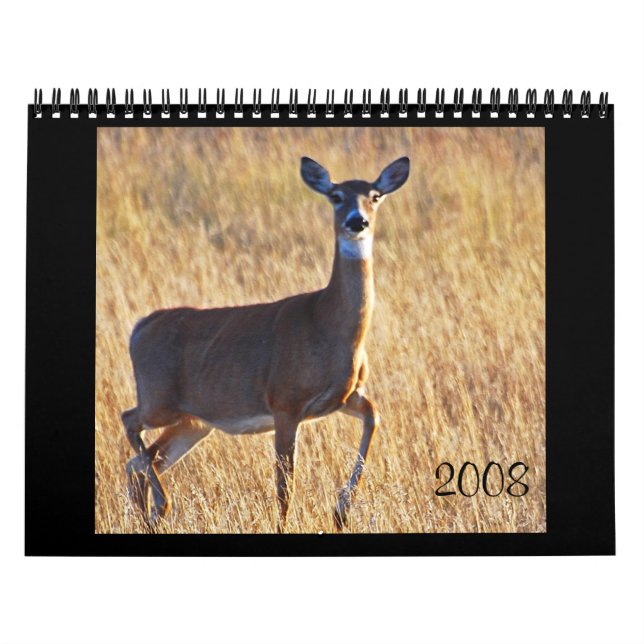 Weißwedelhirsch an der Düne! Kalender (Titelbild)
