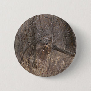 Weißwedelhirsch Frühjahrsbock in Cottonwood-Bäumen Button