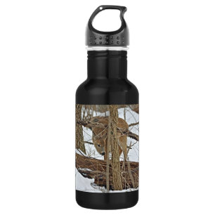 Weißwedelhirsch im Schnee Trinkflasche