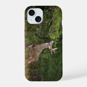Weißwedelhirsch, kapitaler Bock am Rand macht Scha iPhone 15 Hülle