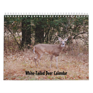 Weißwedelhirsch-Naturkalender Kalender