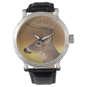 Weißwedelhirsch, Odocoileus virginianus, Armbanduhr