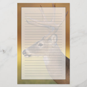 Weißwedelhirsch, Odocoileus virginianus, Briefpapier