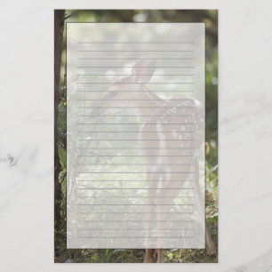 Weißwedelhirsch, Odocoileus virginianus Briefpapier