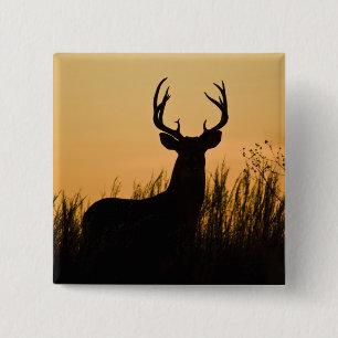 Weißwedelhirsch Odocoileus virginianus) Button