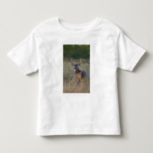 Weißwedelhirsch Odocoileus virginianus Kleinkind T-shirt