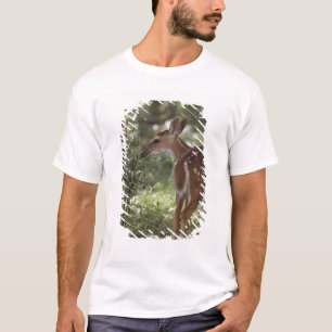 Weißwedelhirsch, Odocoileus virginianus T-Shirt