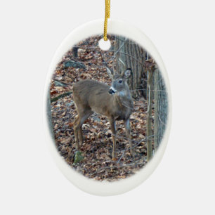 Weißwedelhirsch-Spitzenbock-Weihnachtsbaumschmuck Keramik Ornament