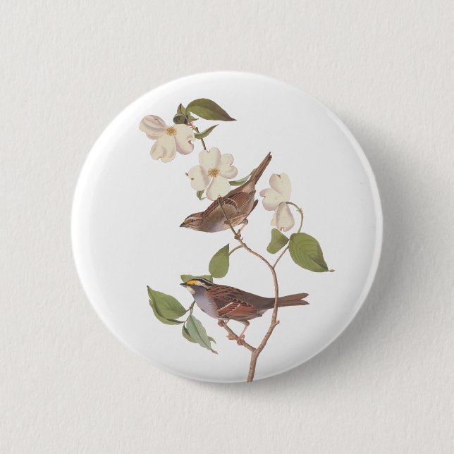 Weißwurzelammer Audubon-Vogel in Dogwood Button (Vorderseite)