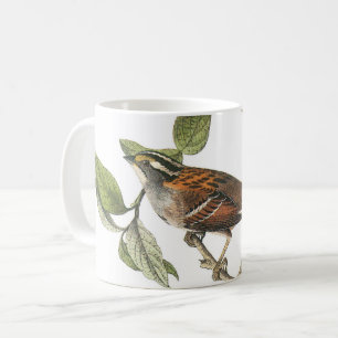 Weißwurzelammer von Audubon Kaffeetasse
