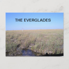 WEIT DER EVERGLADES POSTKARTE