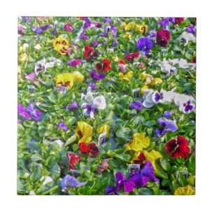 Weitere Stiefmütterchen Fliese