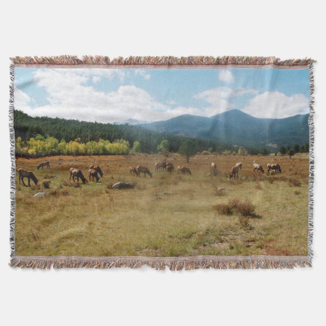 Weitwinkeldecke des Elches Decke (Vorderseite)