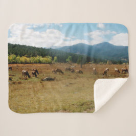 Weitwinkeldecke Sherpadecke