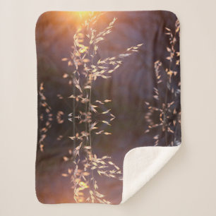 Weizen am Morgen Sherpadecke