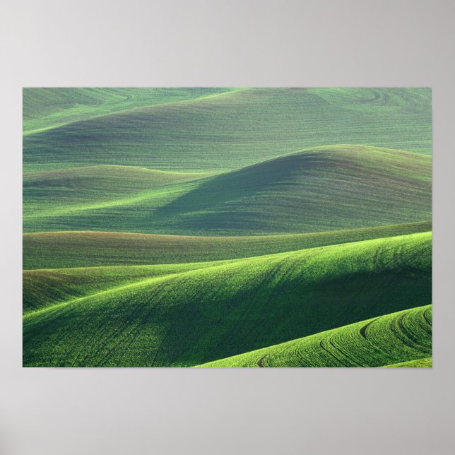 Weizen entspannen in den Hügeln des Palouse Poster (Vorne)