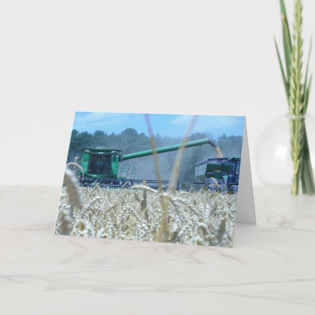 Weizen-Ernte, welche die Landwirtschaft ländlich Karte (Vorderseite)