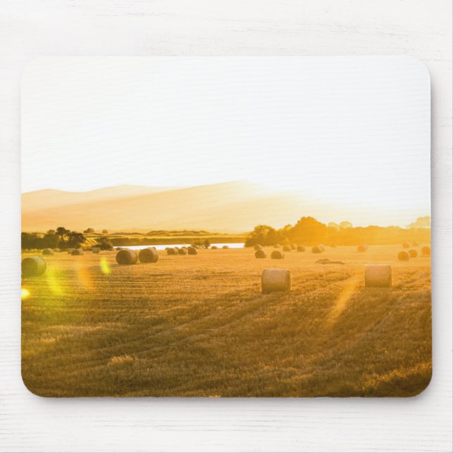 Weizen-Feld | Dornoch, Nordschottland, Mousepad (Vorne)