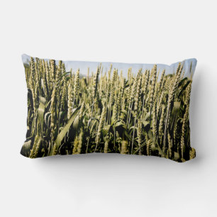 Weizen Lendenkissen