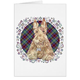 Weizen Scottie-Tartan