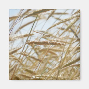 Weizen-u. Himmel-Magnet Magnet