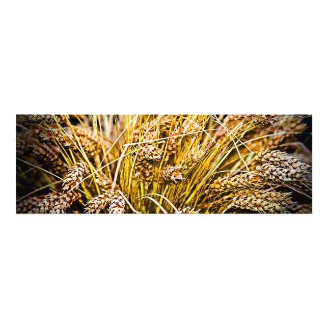 Weizenblatt - Danke Fotodruck (Vorne)