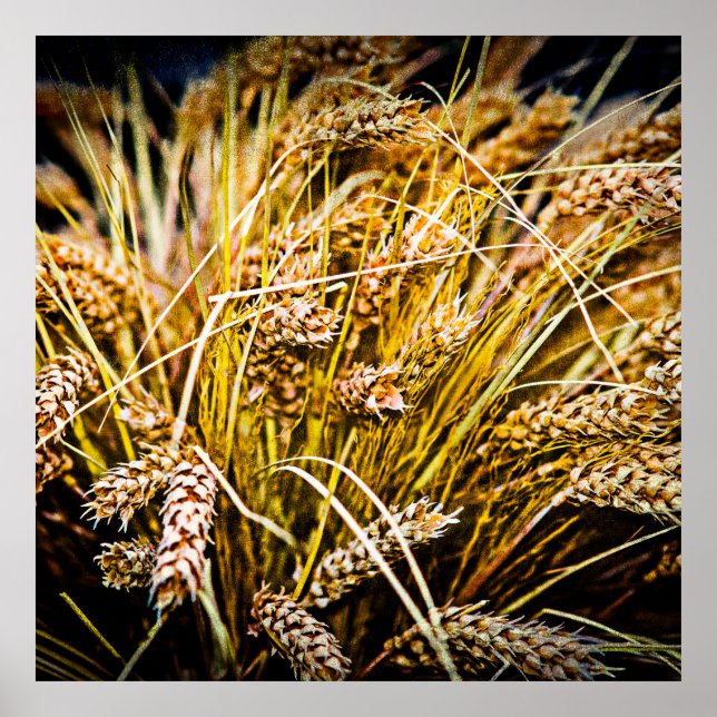 Weizenblatt - Danke Poster (Vorne)