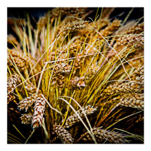 Weizenblatt - Danke Poster