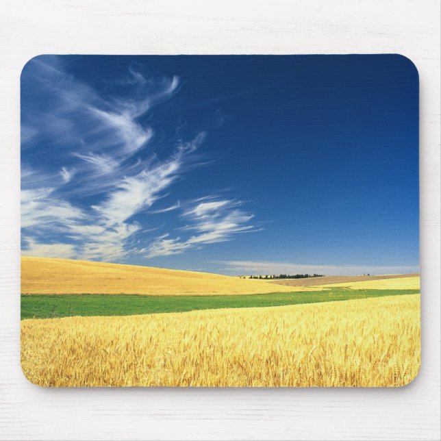 Weizenernte auf dem Palouse im Osten Mousepad (Vorne)