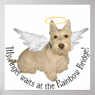Weizenfarbene Scottish-Terrier-Engel Poster